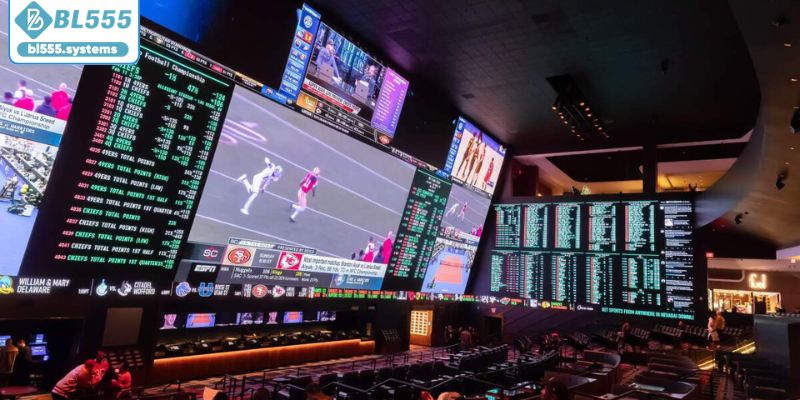 Các dòng cá cược thể thao hay