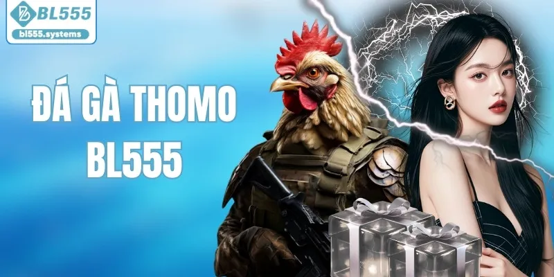 Đá Gà Thomo - Sân Chơi Sôi Động Nhất Thị Trường BL555 2026