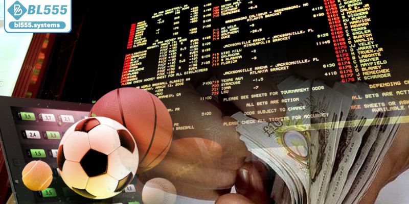 Danh mục sản phẩm phong phú tại BL555 Danh mục sản phẩm phong phú tại BL555